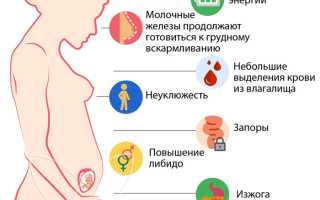 13 неделя беременности: важные моменты и советы