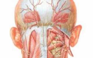 Болит затылок. Причины болей в затылке. Что делать при болях? Полезные советы и рекомендации.