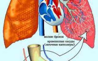 Одышка. Причины одышки — сердечная, легочная, при анемии. Диагностика и лечение причин здоровья
