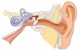 Стреляет в ухе. Резкие боли в ухе и головные боли, шум в ушах, боли с температурой. Причины, диагностика и лечение стреляющей боли в ухе, первая помощь в домашних условиях при болях в ухе и советы по уходу