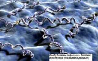 Венеролог. Чем занимается данный специалист, какие исследования проводит, какие заболевания лечит и как это важно?