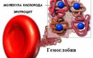 Талассемия – диагностика, причины, симптомы и лечение заболевания