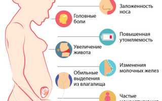 9 неделя беременности: важные моменты и советы