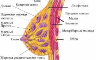 Мастит. Симптомы, причины, диагностика и лечение болезни у женщин
