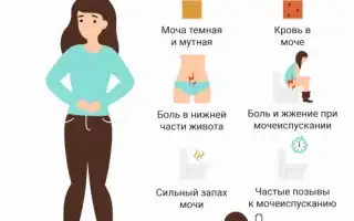 Пиелоцистит симптомы