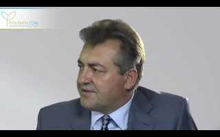 Детралекс — таблетки для лечения геморроя, анальной трещины, простатита. Показания, противопоказания, побочные действия, аналоги, отзывы и рекомендации