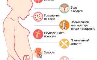 19 неделя беременности: что нужно знать