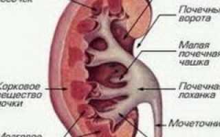 Пиелонефрит — причины, симптомы, современная диагностика и эффективное лечение заболевания