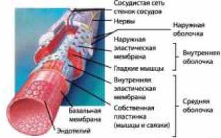 Диабетическая ангиопатия: ангиопатия сосудов нижних конечностей, симптомы, диагностика, лечение и профилактика, важные аспекты