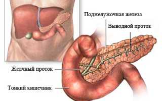 Панкреатит — причины, симптомы, современная диагностика, лечение и диета для здоровья.