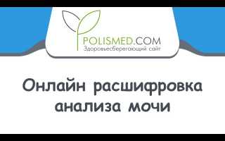 Анализ мочи, расшифровка — нормы белка, эритроцитов, лейкоцитов, глюкозы, эпителия, билирубина, цилиндров и бактерий для здоровья