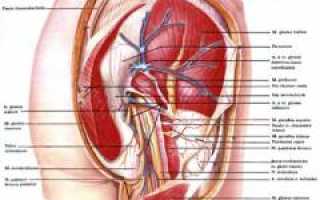 Боли в ягодице. Причины болей в ягодице. Что делать при этих болях? Полезные советы и рекомендации
