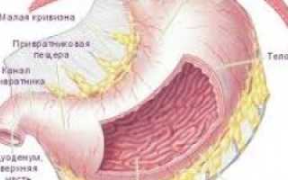 Язва желудка — причины, симптомы, современная диагностика и эффективное лечение для здоровья