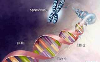 Гипофизарный нанизм (карликовость) — причины, симптомы, эффективное лечение и профилактика