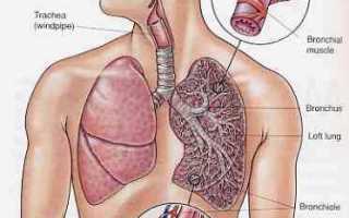 Бронхиальная астма — причины, симптомы, современная диагностика и эффективное лечение для здоровья
