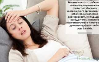 Молочница при беременности — кандидоз. Какие опасности представляет эта патология для здоровья?