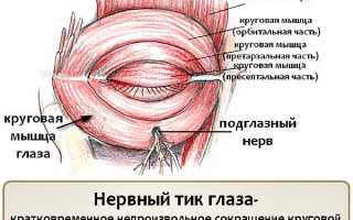 Стоит переживать, если постоянно дергается глаз: причины и советы