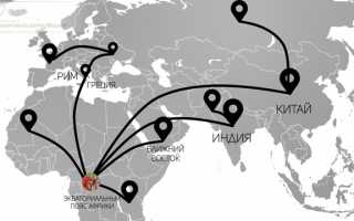 Касторовое масло – неожиданные свойства, правда и мифы о его применении
