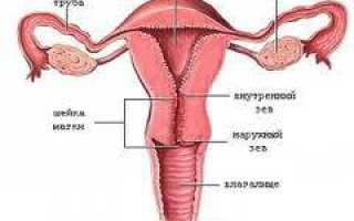 Рак тела матки. Симптомы и признаки, причины, стадия, профилактика болезни и методы лечения