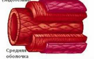 Тромбоз вен. Причины, симптомы, диагностика и лечение тромбоза: важные аспекты