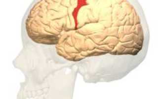 Нервный тик. Причины, проявления, лечение патологии и советы по управлению.