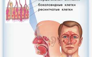 Ринит (насморк) — виды ринита, причины, симптомы, диагностика и эффективное лечение для здоровья
