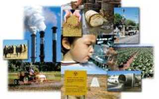 Аллергия на кошек и собак. Причины, симптомы и признаки, диагностика и лечение патологии у людей