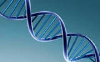 ПЦР (полимеразная цепная реакция). Как производится ПЦР диагностика, показания, как подготовиться к исследованию, результат ПЦР и их интерпретация