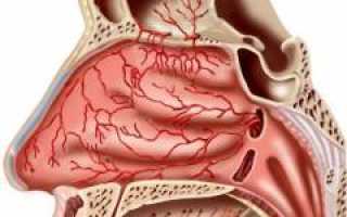 Болит нос. Болит в носу и голове, заложенность носа, боли внутри носа. Что делать при этих симптомах и как облегчить состояние?