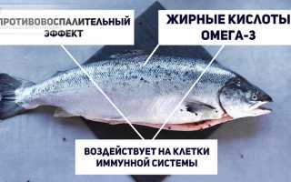 Продукты, спасающие наши суставы: как избавиться от болей и восстановить хрящи для здоровья
