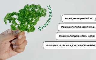 Зеленое масло – почему оно продлевает жизнь. Инструкция по приготовлению в домашних условиях и полезные советы
