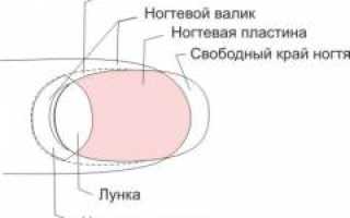 Онихомикоз (грибок ногтей). Причины, симптомы, признаки, диагностика и лечение патологии для здоровья
