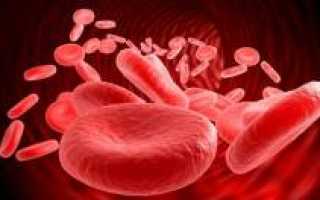 Эритремия – причины, лабораторная диагностика, симптомы, лечение и профилактика