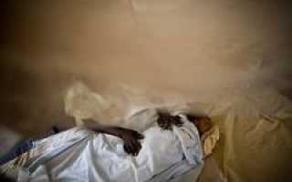 Малярия – диагностика, как передается? Симптомы и лечение малярии, важные аспекты здоровья.