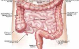Метеоризм. Причины, диагностика причин и лечение патологии для здоровья