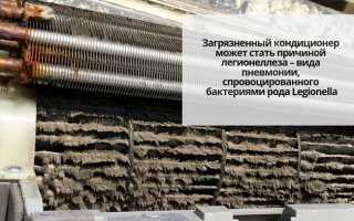 17 вещей в вашем доме, из-за которых вы болеете, и как с этим справиться