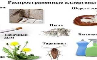 Аллергический насморк – как отличить от простудного и что делать дальше для здоровья?