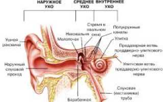 Лабиринтит (внутренний отит). Причины, симптомы, признаки, диагностика и лечение патологии у взрослых