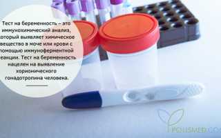 Тест на беременность: как он работает и когда делать, виды и советы