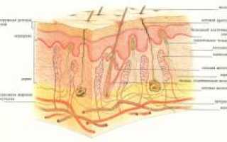 Мозоли на ногах. Причины, первая помощь, лечение и профилактика для здоровья