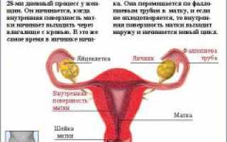 Ранний климакс. Причины, симптомы и признаки, лечение и профилактика патологии для женщин