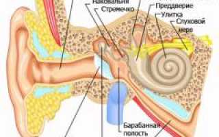 Болит ухо. Болит в ухе и головные боли, отдает в челюсть, боли с температурой, болит только мочка уха. Что делать при этих симптомах и как облегчить состояние?