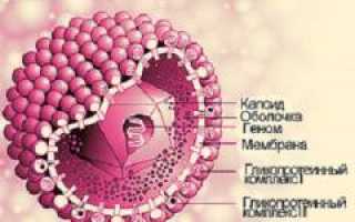 Цитомегаловирус у детей, у женщин при беременности. Результаты анализов и обнаружение антител. Симптомы и лечение цитомегаловирусной инфекции. Полное руководство для родителей