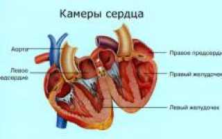 Кардиомиопатия. Причины, симптомы, признаки, диагностика и лечение патологии у пациентов.