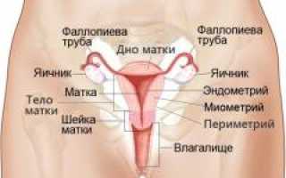 Аденомиоз. Причины, симптомы, диагностика и лечение патологии у женщин