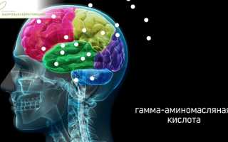 Что такое микродозинг мухомора и для чего он нужен: полезные аспекты