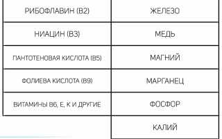 Пшено и пшенка — натуральный витаминный комплекс и путь к долголетию для здоровья