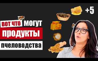 Польза продуктов пчеловодства: огнёвка пчелиная, маточное молочко, прополис, пыльца, перга, пчелиный подмор и пчелиный яд для здоровья
