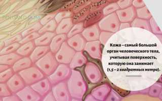 Лентиго. Причины, симптомы, диагностика и лечение патологии кожи