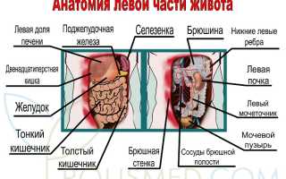Болит живот слева — причины и рекомендации по лечению